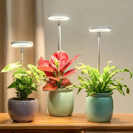 室内植物用LED育成ライト